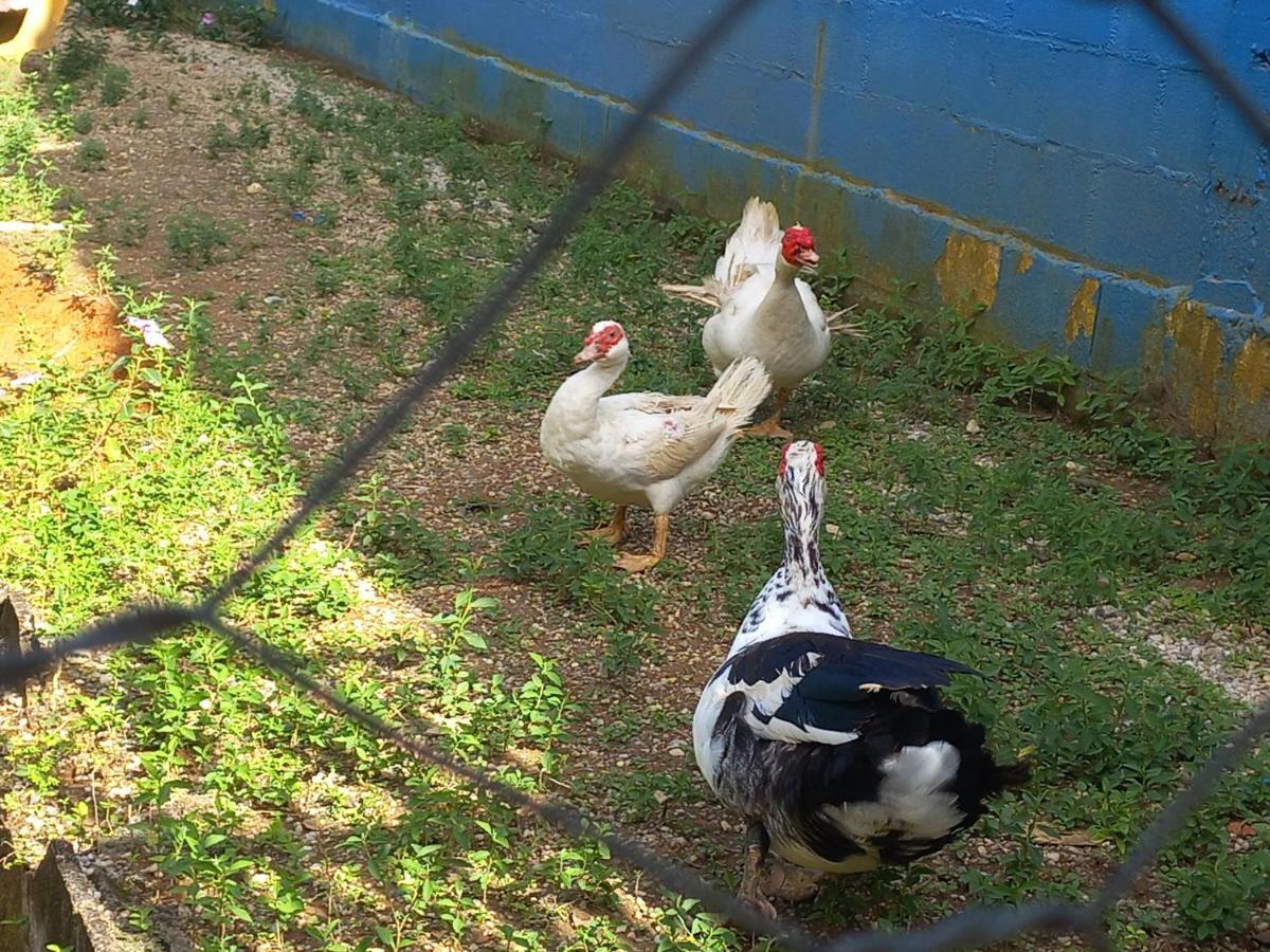 Comunidade Anuncia-Me Guaratingueta Bagian luar foto