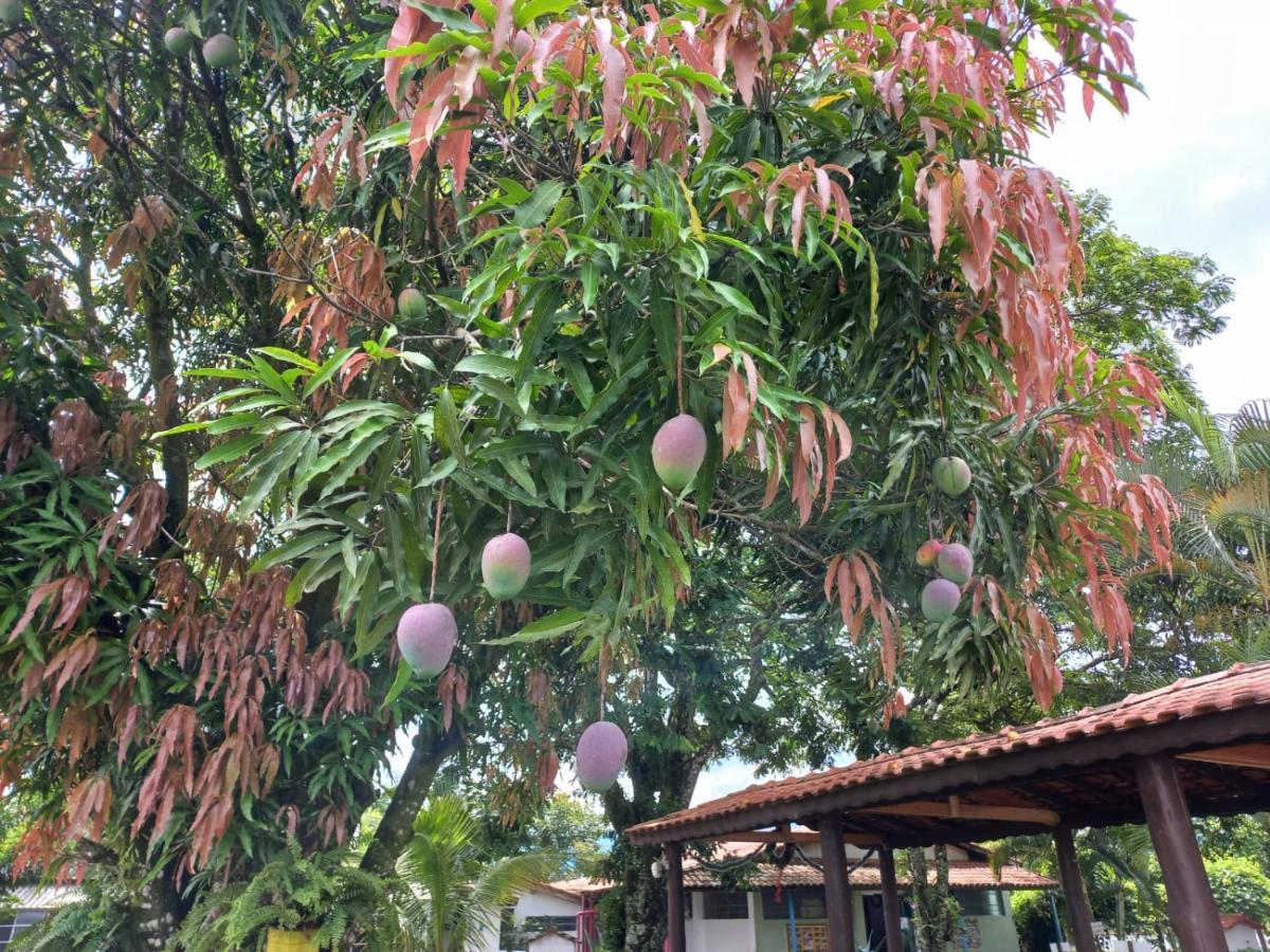 Comunidade Anuncia-Me Guaratingueta Bagian luar foto