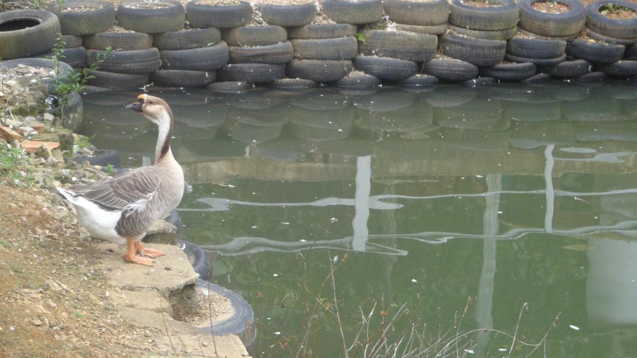 Comunidade Anuncia-Me Guaratingueta Bagian luar foto