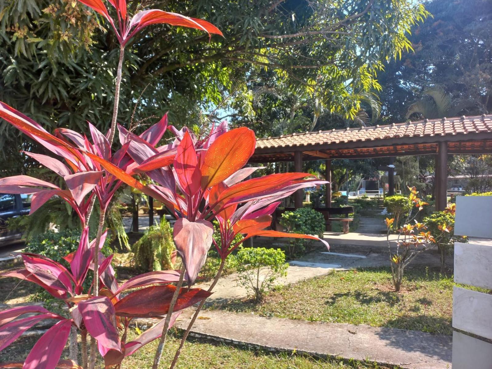Comunidade Anuncia-Me Guaratingueta Bagian luar foto